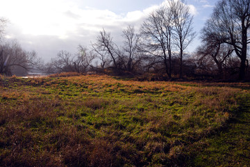 Obraz premium Niemcy, Saksonia-Anhalt, Dessau-Rosslau: Krajobraz przyrodniczy na słynnym skrzyżowaniu rzek Łaby i Muldy z drzewami, trawą, spokojną wodą w rzece i pochmurnym niebem - koncepcja środowisko naturalne brzeg rzeki