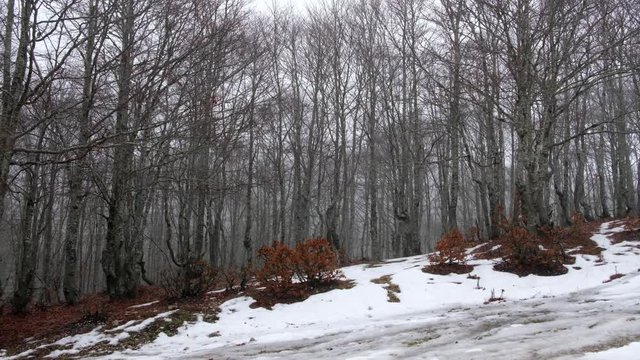 Lago monte livata