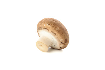 Raw champignon mushroom isolated on white background, close up