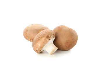 Group of champignon mushrooms isolated on white background