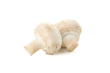 Сhampignon mushrooms isolated on white background, close up