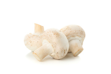 Сhampignon mushrooms isolated on white background, close up