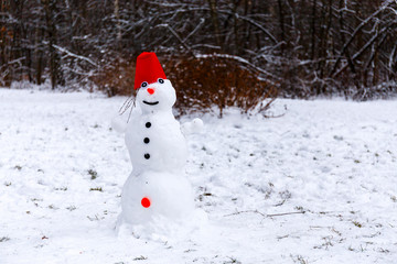 Fototapeta premium View of a snowman made of snow is in the Park. Moscow, Russia.