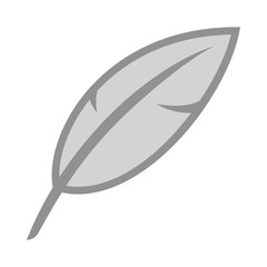 Feather pen icon. simple feather symbo.l