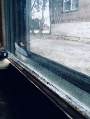 Buddah through reflection of window