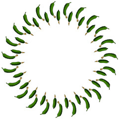 Round frame with vertical green cucumber. Isolated wreath on white background for your design