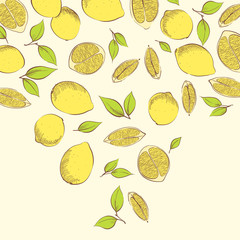 Fresh juicy lemon illustration