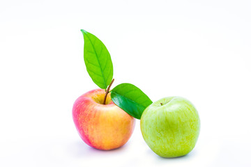 Green apple  and  Red apple on the white background with clipping path