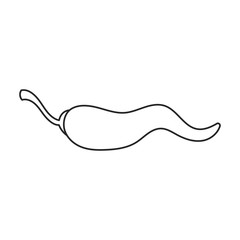 Spicy pepper vector icon.Line vector icon isolated on white background spicy pepper .