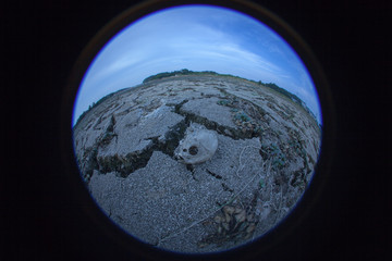 Warning of global warming : Impossible farming