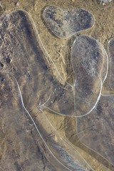 transparent ice texture on a frozen puddle