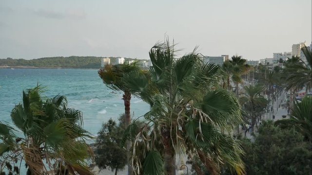 Zeitrafferaufnahme vom Strand von Calla Millor auf Mallorca mit Palmen im Vordergrund (tag zu nacht)