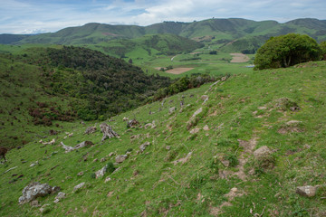 Fototapeta na wymiar Purakanui Bay. Catlins. South Island New Zealand. Hills and meadows
