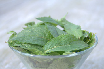 feuilles de menthe verte fra&icirc;ches dans une coupe