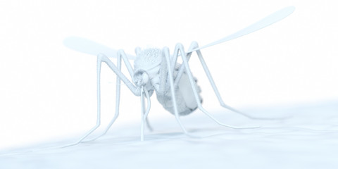 3d rendered abstract illustration of a mosquito
