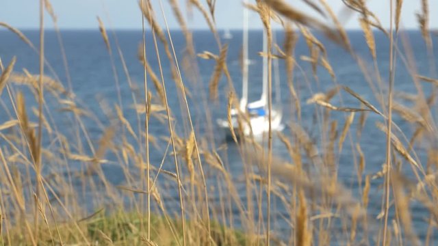 Segelboot an der K&uuml;ste Mallorcas mit sich im Wind wehenden Gr&auml;sern 4k