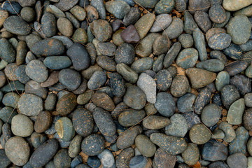 Stone gravel with fallen of pine leaves use for background and textured.
