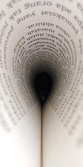 pages of the book