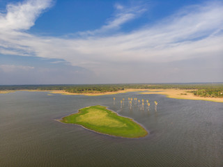 aerial view of a lake with palm trees and a beautiful small island famous for bird nesting with green vegetation cover with clear blue sky in the background. 