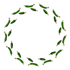 Round frame with horizontal beautiful cucumber. Isolated wreath on white background for your design