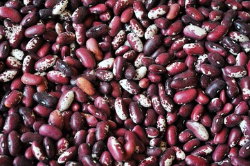 Crimson beans (Phaseolus vulgaris) aka borlotti beans or cranberry beans vegetables, vegetarian food useful as a background