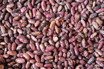 Crimson beans (Phaseolus vulgaris) aka borlotti beans or cranberry beans vegetables, vegetarian...