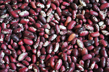Crimson beans (Phaseolus vulgaris) aka borlotti beans or cranberry beans vegetables, vegetarian food useful as a background