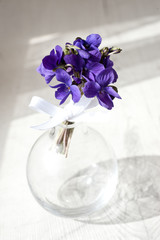 8 march. women's day. Forest violets flowers in vase. Springtime