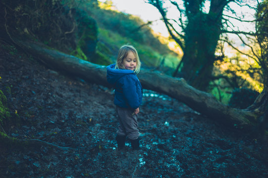 Little toddler standing in the mud by a fallen tree in the woods