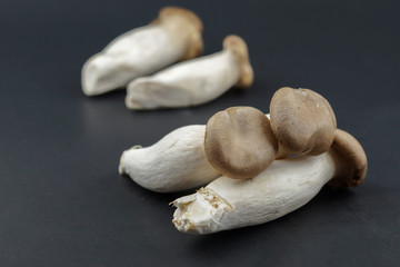 fresh mushrooms on black background