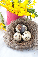 Naklejka na ściany i meble Bunch of willow, quail eggs and a ball of yarn on wooden background. Easter Holidays background