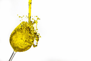 yellow flower on white background