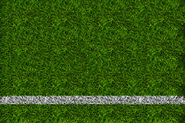 The grass of the football field