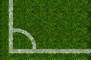 The grass of the football field