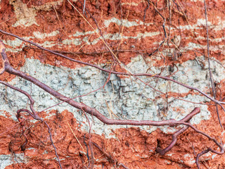 colored abstract picture with red and white clay texture