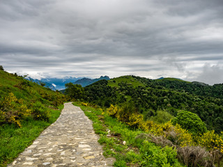 View of Hiking Trail to Monte San Primo