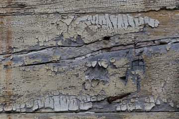 abstract picture with wood texture