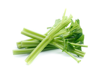 fresh celery isolated on white background