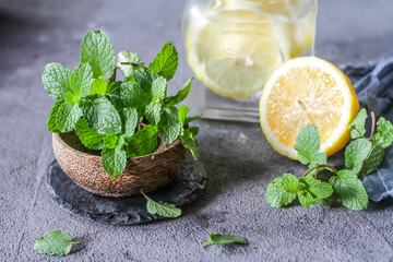 Photo of fresh cool lemon mint water. Infused water. Cocktail. Detox drink. Health care. Fitness. Summer drink. Still life photography. Image.