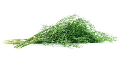 Green dill isolated on white background