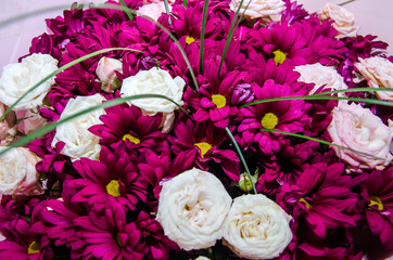 Beautiful flowers close up. Background of flowers.