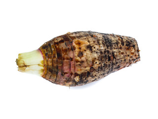 taro isolated on white background