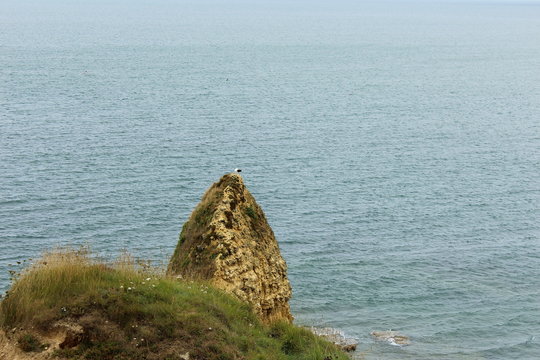 mer