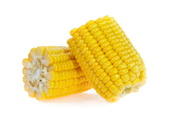 Corn on white background