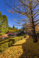 Naklejka premium Bridge over pond in Danjogaran temple with maple trees season Autumn colors, at Mount Koya, Japan.