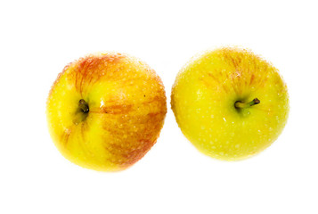 yellow apples isolated