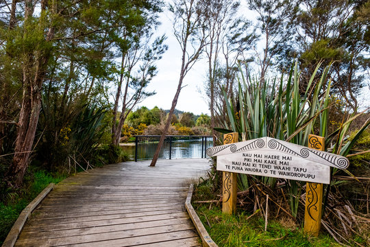 Beautiful natural Waikoropupu  springs. Takaka, New Zealand.