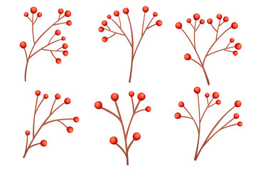 Set of red currant berries on branch without leaves flat vector illustration isolated on white background