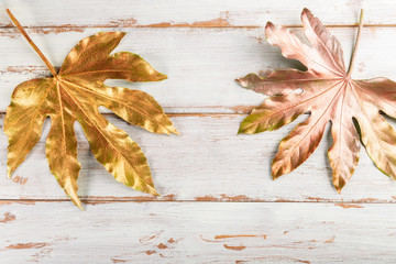 Flat lay of beautiful Leaf painted in golden and copper metallic paint on wooden background. Top...