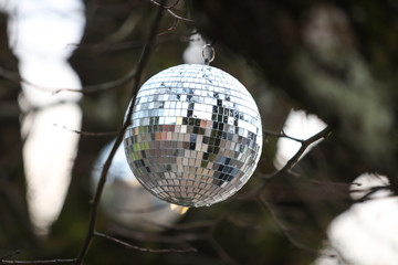Discoball hanging on naked tree as a Christmass decoration.